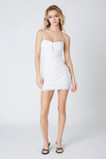 Lace Mini Dress