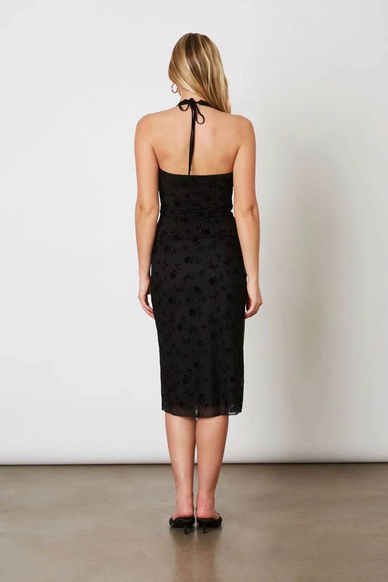 Flocked Velvet Mesh Halter Top