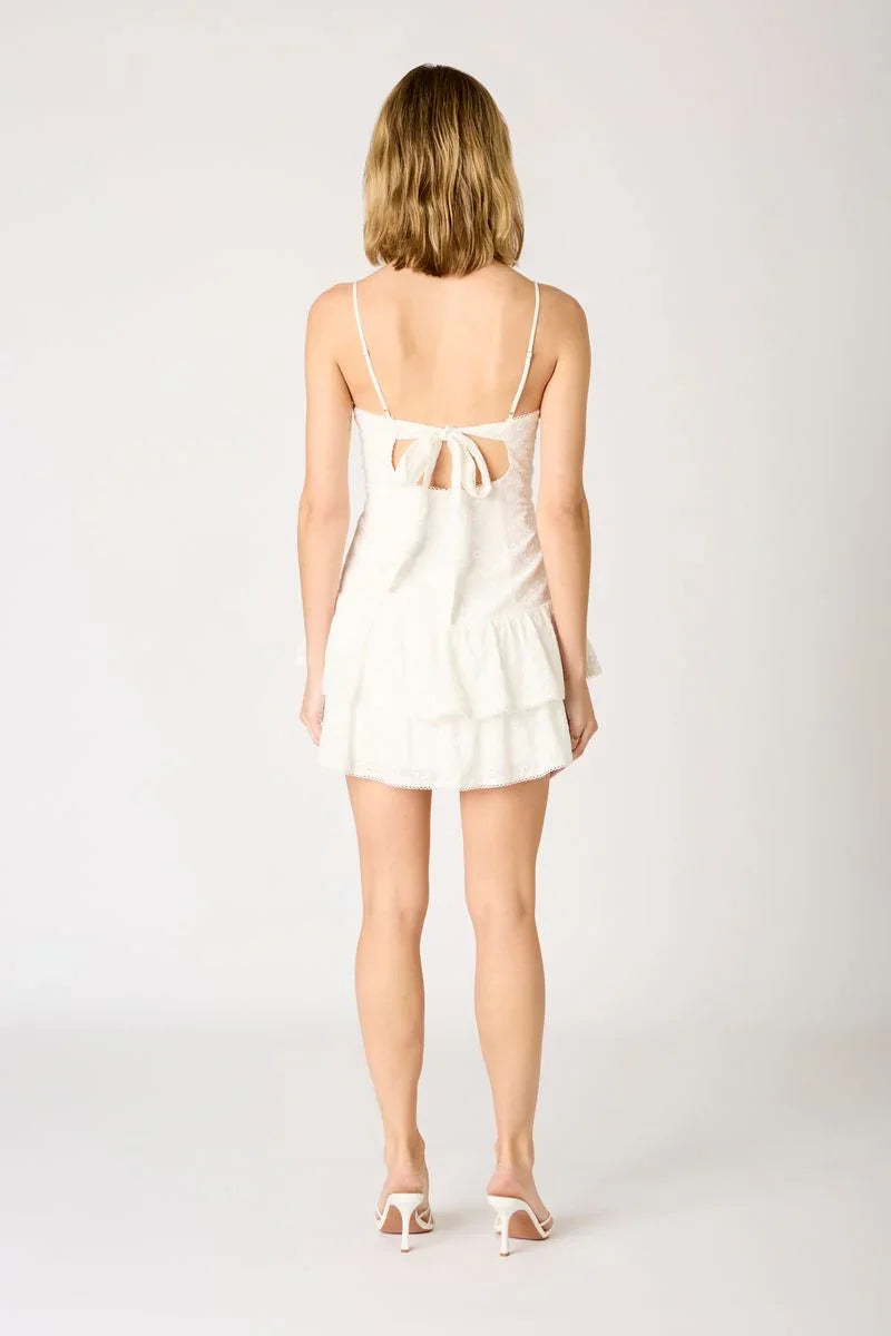 Embroidered Eyelet Mini Dress