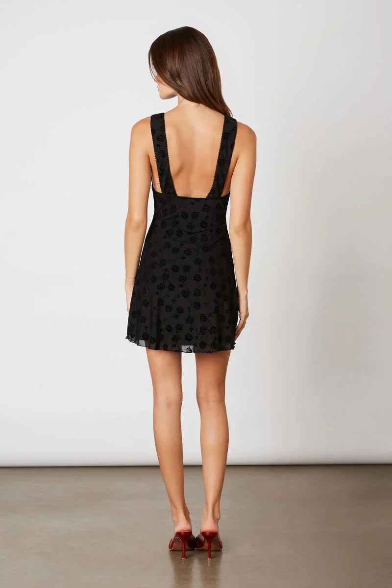 Flocked Velvet Mesh Mini Dress