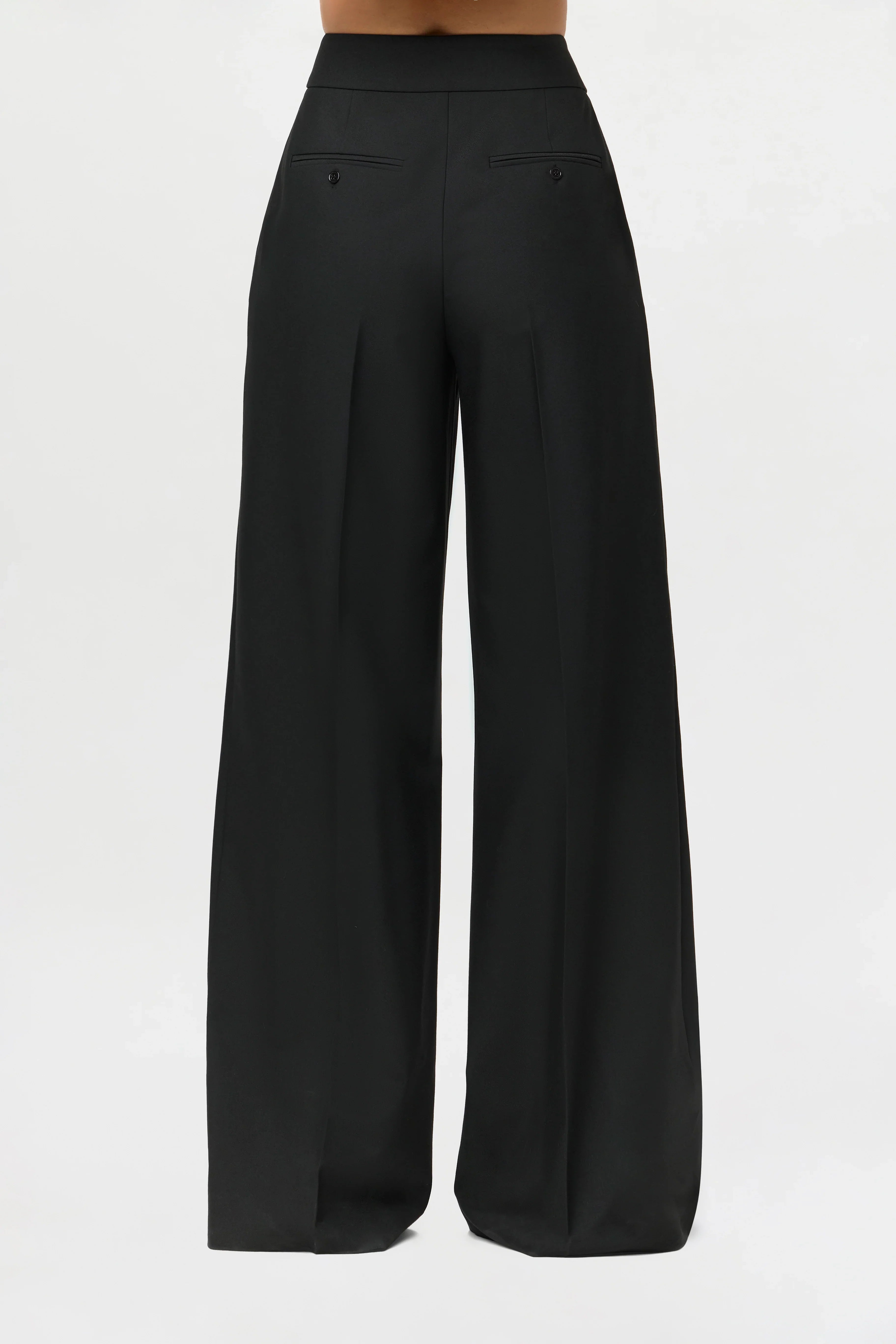 Suiting Seam Wide-Leg Pants