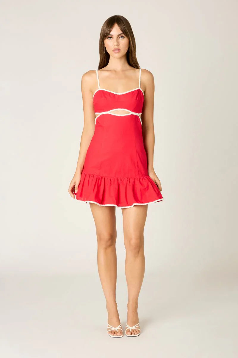 Contrast Trim Cutout Mini Dress